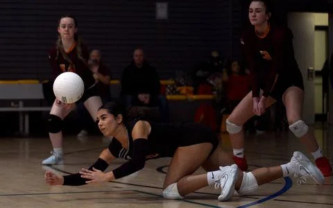 Spartans en Royals schitteren in volleybaltoernooi